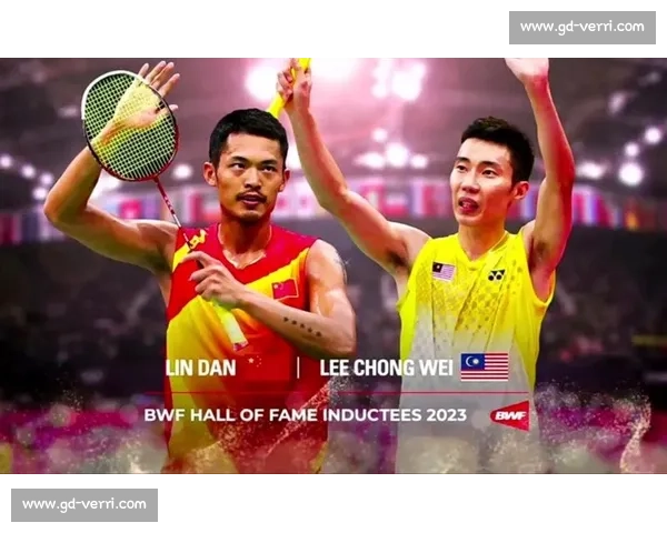 林丹2017赛季精彩回顾与重大比赛表现全解析