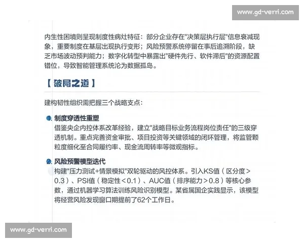 企业风险管理视角下提升组织韧性与决策效率的策略研究