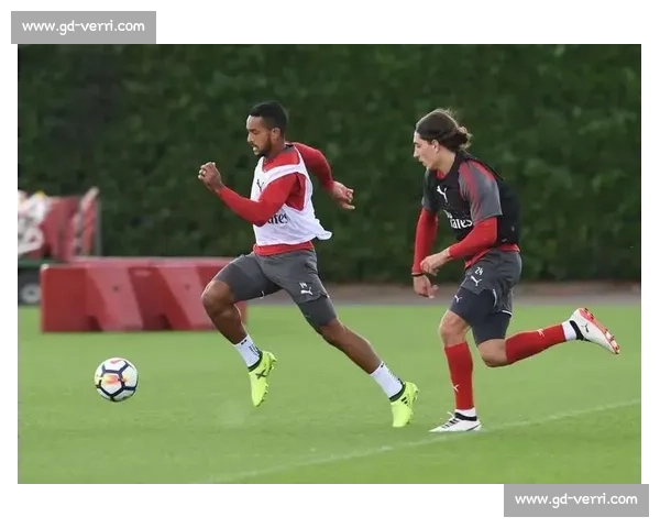 体育行业职业机会解析与发展趋势探讨：从入门到高层管理的多元化路径